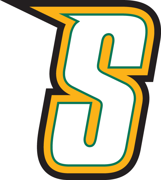 Siena Saints 2001-Pres Alternate Logo v5 diy iron on heat transfer